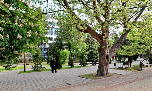 NIK_9936.jpg