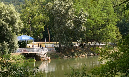 DSC_4989юм.jpg