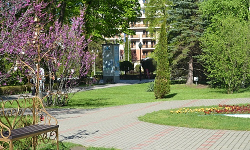 DSC_0238.JPG