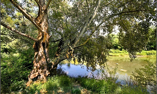2.У реки .jpg