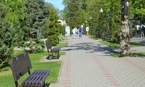 DSC_0237.JPG